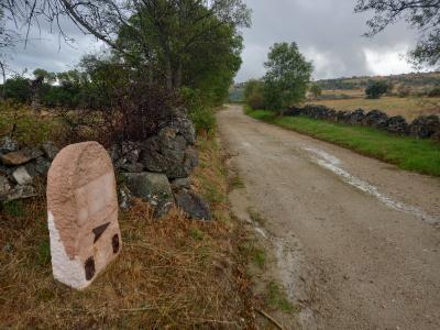 Imagen La Diputación retoma las rutas del Camino de San Frutos con la etapa que une Santo Domingo de Pirón y Torreval de San Pedro