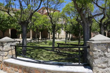 Imagen La Diputación repartirá 3.450 árboles entre los pueblos de la provincia